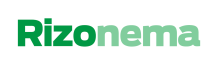 Rizonema