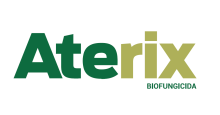 Aterix